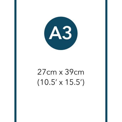A3 size template displaying dimensions of 27cm x 39cm and 10.5' x 15.5'.